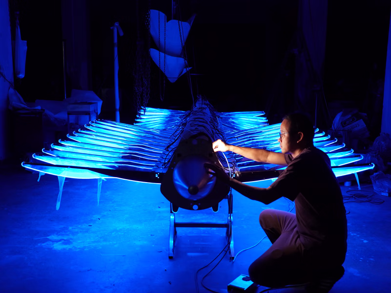 Mechanical flying fish