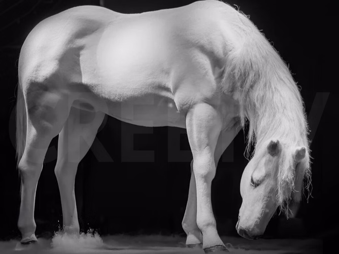 Bionic horse – custom kinetic mechanical art sculpture made in China 2