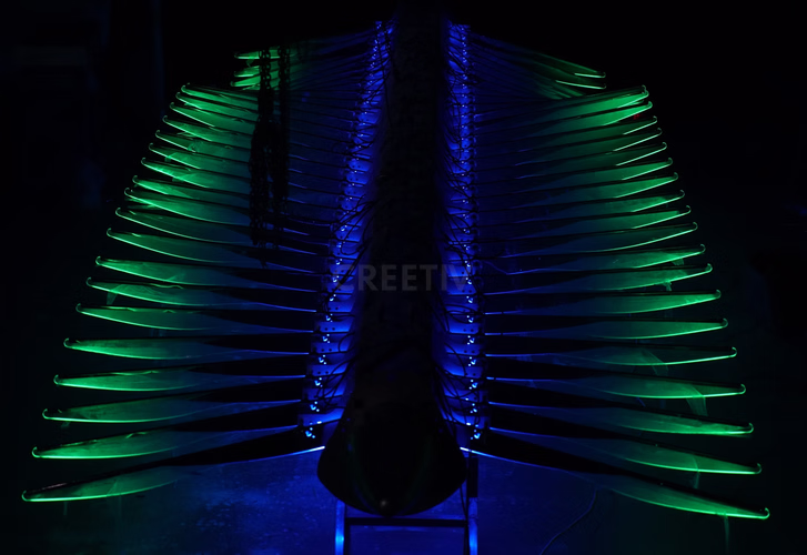 Customized color effects