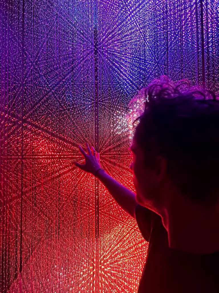 3D Voxel Display Trends in 2026: Buying Guide 16 Touch the red dragon 3D display