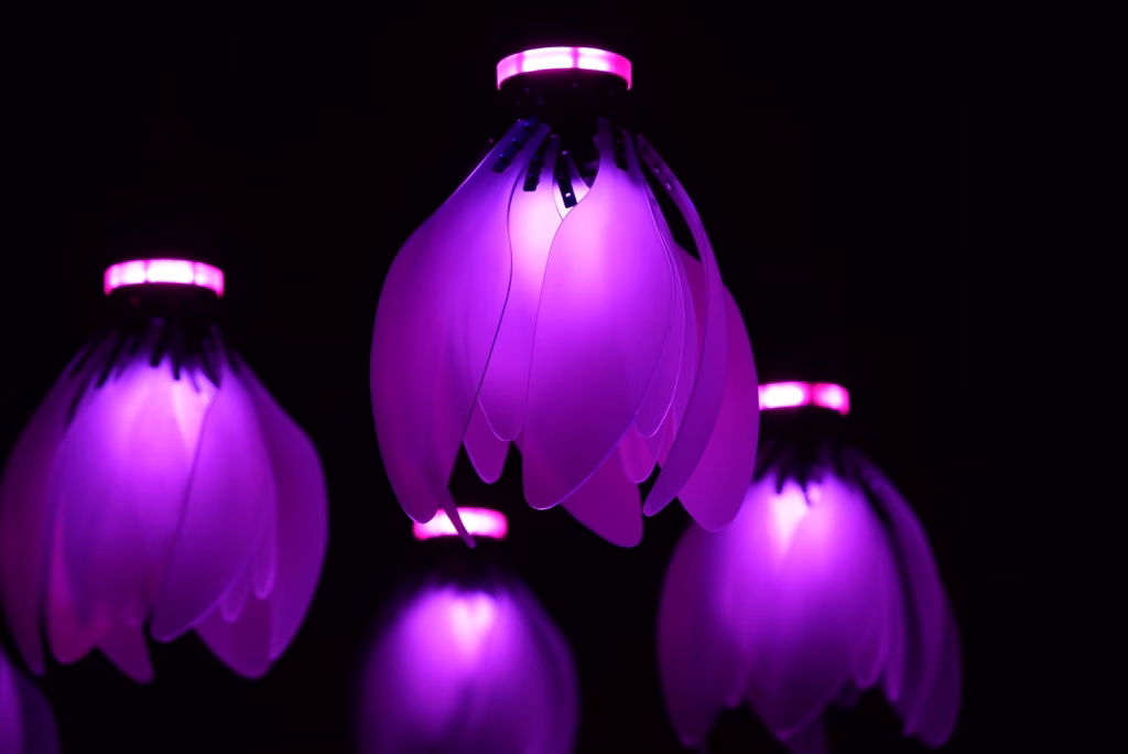 Pink kinetic ethereal flower (2)